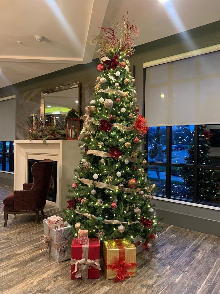 Hilton Garden
